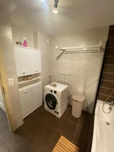 Appartements Flat near Strasbourg : photos des chambres