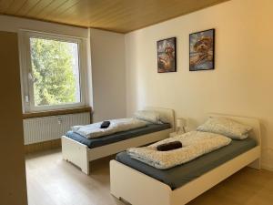 Lichtdurchflutete 3-Zimmer-Wohnung