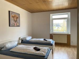 Lichtdurchflutete 3-Zimmer-Wohnung