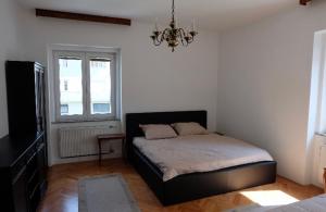 Villa Pinta Pika - Unterkünfte ohne Kategorie in Ljubljana