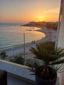 SMARAGD on the beach