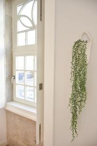 Central and comfortable apartment -downtown