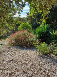 B&B / Chambres d'hotes Le calme de la garrigue : photos des chambres