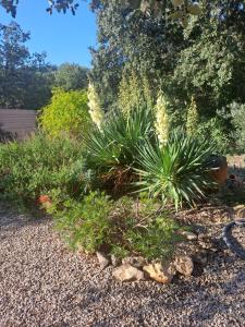B&B / Chambres d'hotes Le calme de la garrigue : photos des chambres