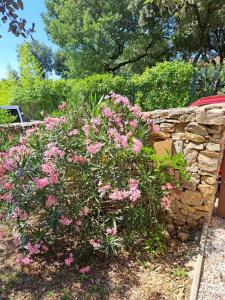 B&B / Chambres d'hotes Le calme de la garrigue : photos des chambres