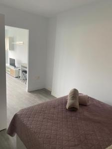 Lucy lux apartament