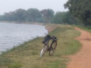 Thissawewa Breeze