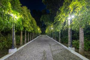 Panglao villa family reunions