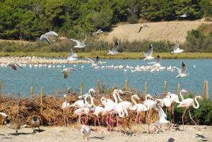 Campings Camping 3 etoiles - Piscine - eehdai : photos des chambres