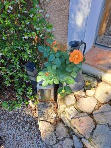 B&B / Chambres d'hotes Le calme de la garrigue : photos des chambres