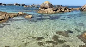 camping Baie de Kernic Mobil-home "Moon" - Plounévez-Lochrist