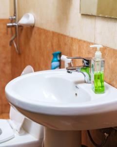 Arusha Urban Haven Homes - Amani Apartment