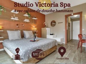 Appartements Studio Victoria SPA, au coeur du centre-ville CABINE HAMMAM -WIFI -GRAND LIT DOUBLE QUEEN SIZE 160x200cm : photos des chambres