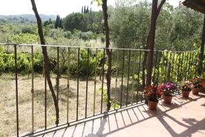 Etna Evergreen Casa Vacanze