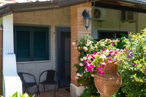House garden