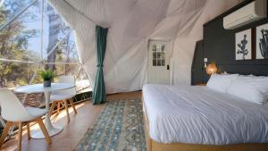 Nature and Luxury Combined at this Pet-Friendly Glamping Geodome in Wimberley, TX