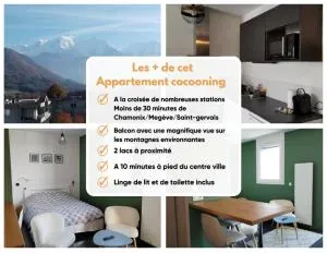 Résidence prémium MontBlanc - 萨莱切