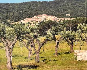 Villas Le Mas Ramatuelle : photos des chambres