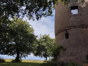 Maisons de vacances So Romantic - Le Moulin de Camargois : photos des chambres