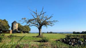 Maisons de vacances So Romantic - Le Moulin de Camargois : photos des chambres