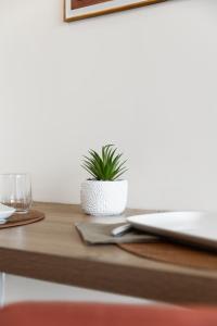 Appartements Studio Victoria SPA, au coeur du centre-ville CABINE HAMMAM -WIFI -GRAND LIT DOUBLE QUEEN SIZE 160x200cm : photos des chambres