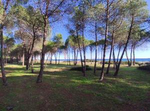 Appartamento vicino al mare Bacu e Ludu A img26
