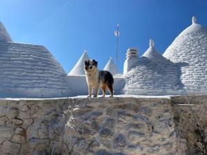 Trulli LENUCCIA villa