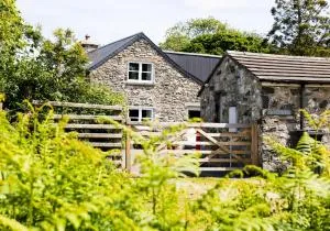 Nant y Rhedyn Newport - Cilgwm