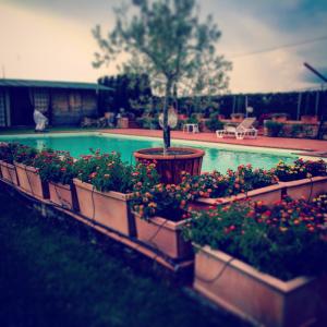 Agriturismo "Le Rondinelle"