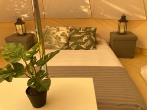 Bellas Glamping