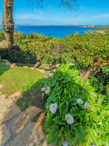 Villa Paradiso img53