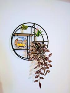 Beautiful and spacious flat in the center