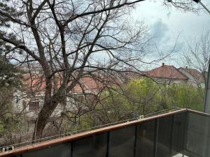 Tau Central Apartment