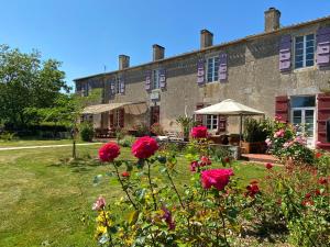 B&B / Chambres d'hotes Jolly Chateau - private room Chambre des oiseaux : photos des chambres
