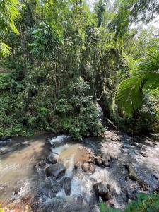 Budget Room at Bamboo Osing Banyuwangi