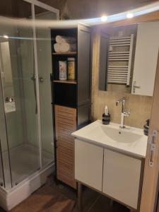 Appartements Le Petit Mineur Cosy Studio : photos des chambres