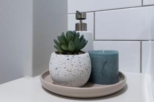 Sleek Sanctuary in the Sky