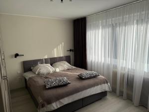 Cosy apartment in the center with own parking