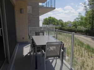 Apartment in Nieuwpoort with terrace
