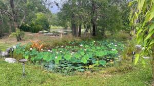 Private country Cabin 1 Bedroom