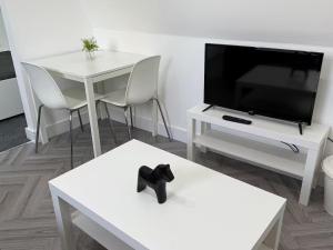 9 Mill Lane, Cardiff - PRIME CITY CENTRE