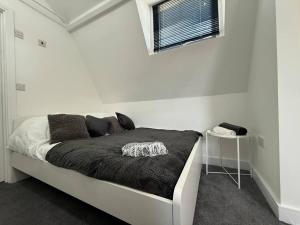 9 Mill Lane, Cardiff - PRIME CITY CENTRE