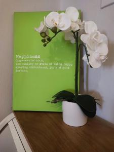 Standard One-Bedroom Apartment 3 room in Ferienwohnungen Ostengasse 22