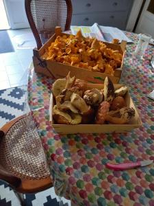 Appartements Appartement centre medieval le Boudoir de Marie : photos des chambres