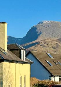 Chase the Wild Goose