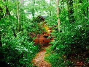 Secluded Tiny Woodland Cabin by a Creek in Ellijay, Georgia - Dyke
