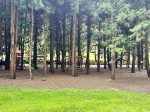 Bamboo Beach Tsikhisdziri, Kobuleti, Georgia