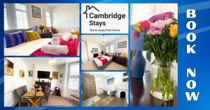 Cambridge Stays 3BR house, easy walk to city center, 2 showers, garden, 2 free parking spaces