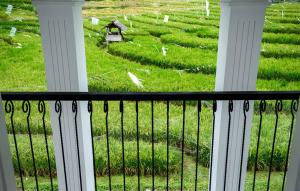 4 Bedrooms Villa in Canggu