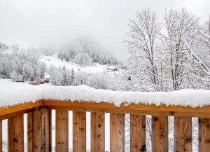 Appartements Chalet Le Char : photos des chambres